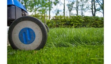 kaip susmulkinti žolę į miltelius