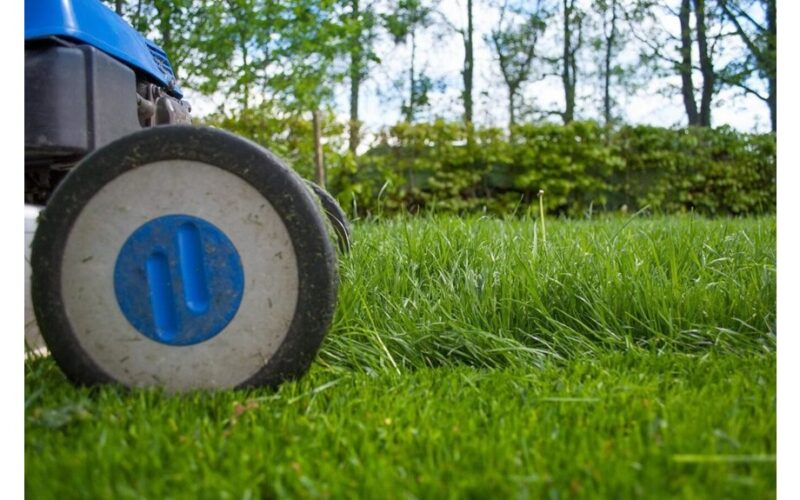 kaip susmulkinti žolę į miltelius