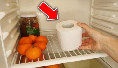 aš padėjau tualetinį popierių į šaldytuvą