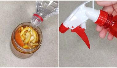 Aš luptų mandarino žieveles