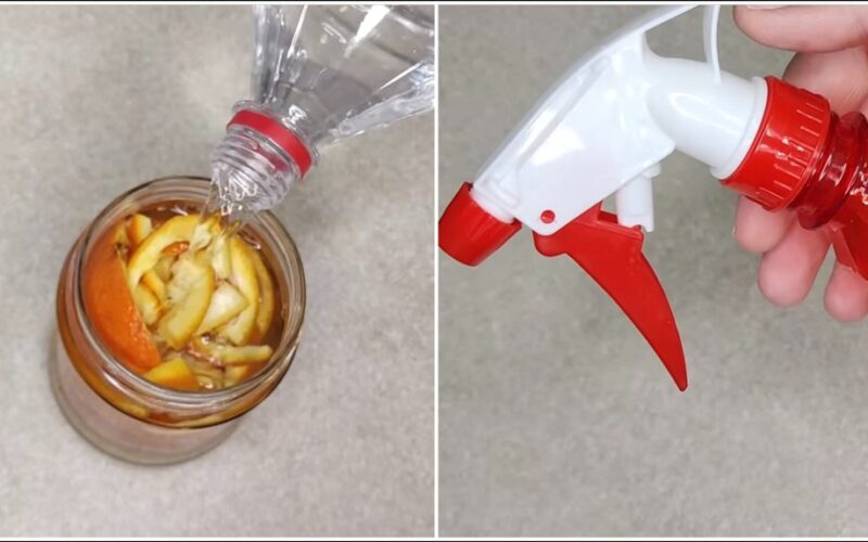 Aš luptų mandarino žieveles