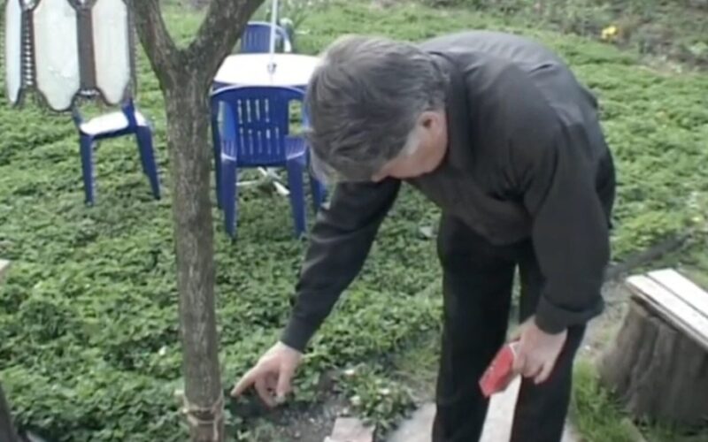 Aš akinsiu vabzdžius