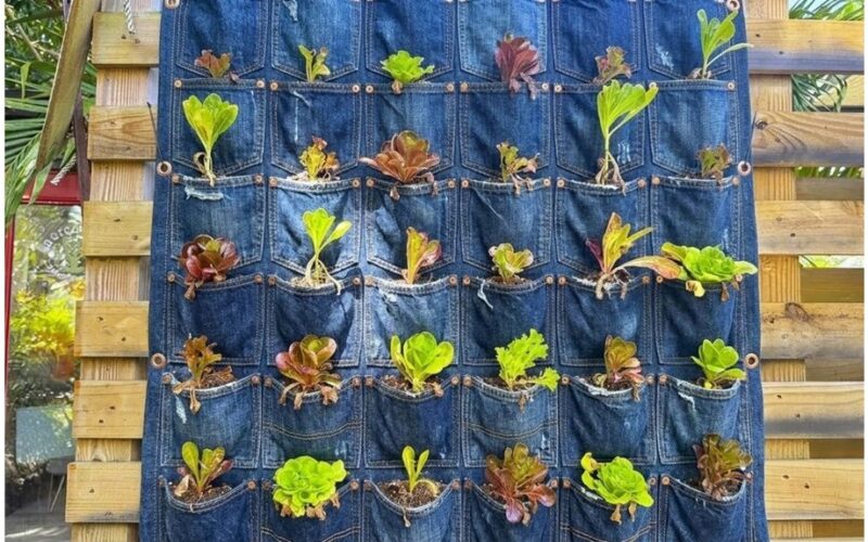džinsų kišenės vertikalus sodas
