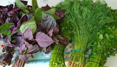 išlaikyti žoleles šviežias savaites