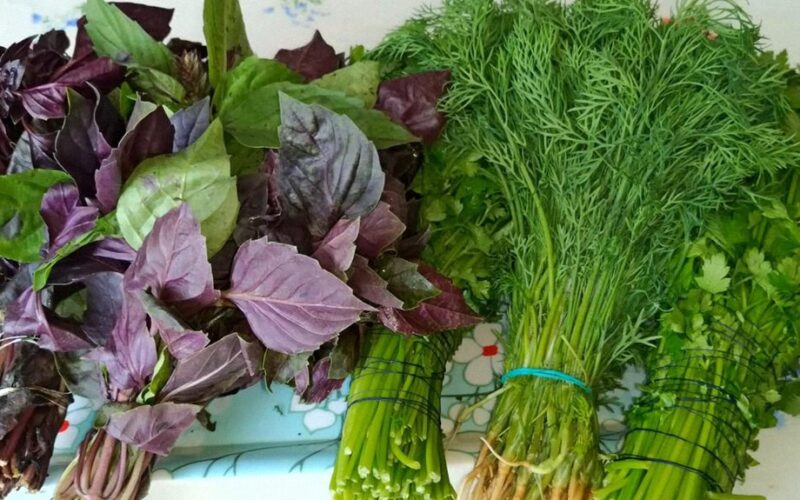 išlaikyti žoleles šviežias savaites