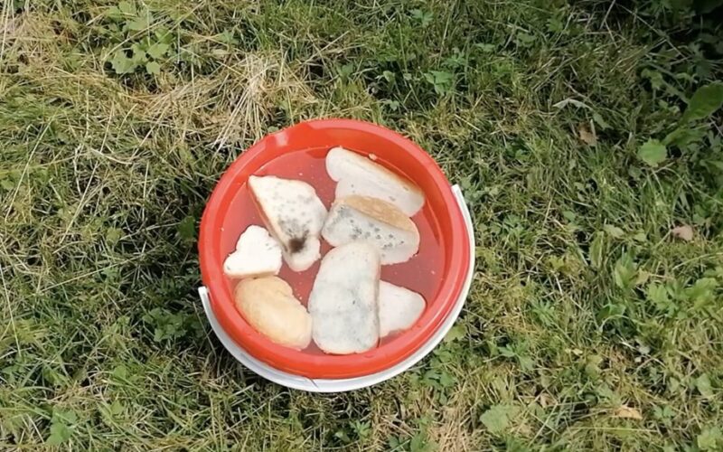 likučiai vestuvių duona derlius