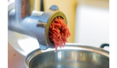 mėsos malūnėlis užsikimšo vienai minutei