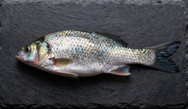 labiausiai nuvertinta žuvis numeris vienas