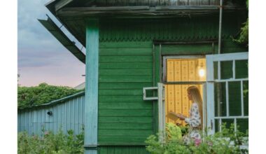 natūralūs namų gamybos vabzdžių atbaidytojai nuo uodų