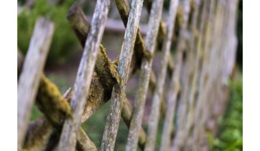 kaimynas nuvalė samanomis padengtą medinę tvorą