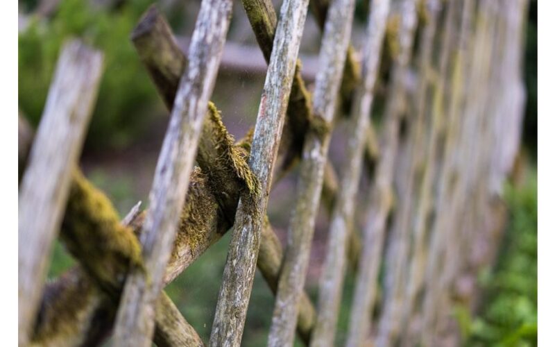 kaimynas nuvalė samanomis padengtą medinę tvorą