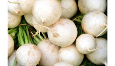 kaimynas gyrėsi kaip geriausias trąša