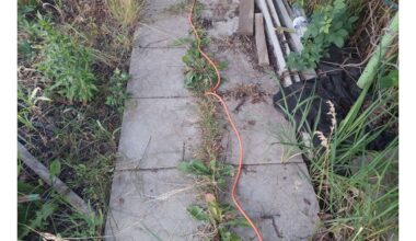 kaimyno paprastas veiksmingas piktžolių mažinimas