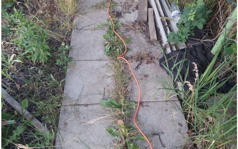 kaimyno paprastas veiksmingas piktžolių mažinimas