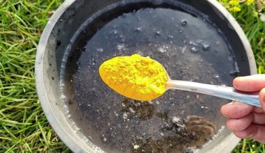 vienas prieskonis išgelbėjo daržoves