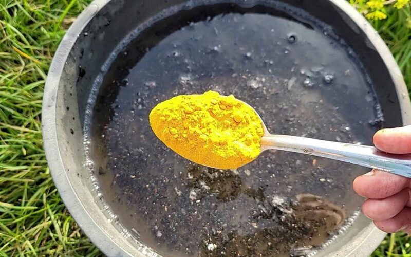 vienas prieskonis išgelbėjo daržoves