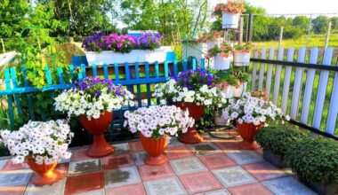 viena tabletė litrui