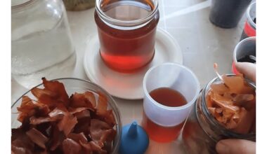 svogūno žievė kaimiškas gyvenimas priemonės