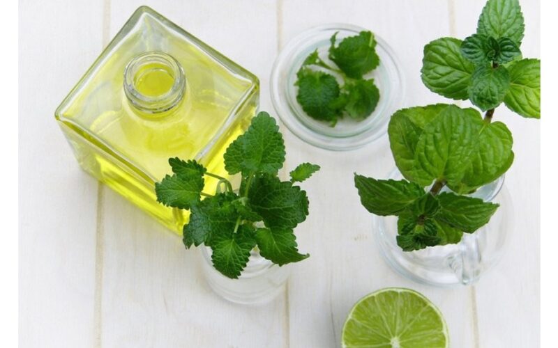 pipirmėčių aliejaus galvos skausmo ritinėlis