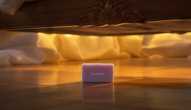 padėkite muilo gabalėlį po lova