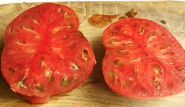 pasodino keturias tamsias pomidorų veisles