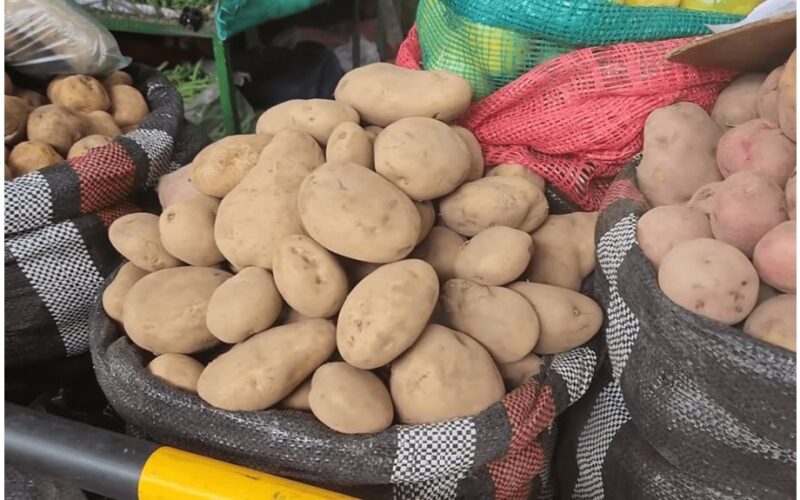 pasodino šešis bulvių daigus 30 trumpas