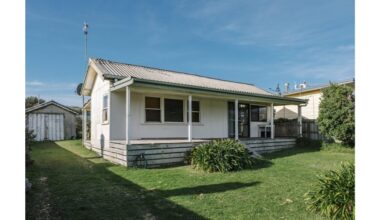 augančios šešėlyje plantas