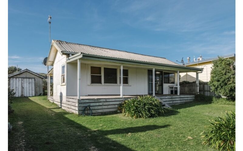 augančios šešėlyje plantas