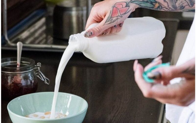 bulvių pienas kylantis kaip alternatyva