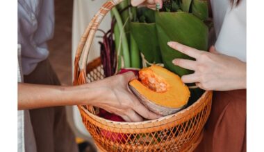 moliūgai ir kukurūzų derlius