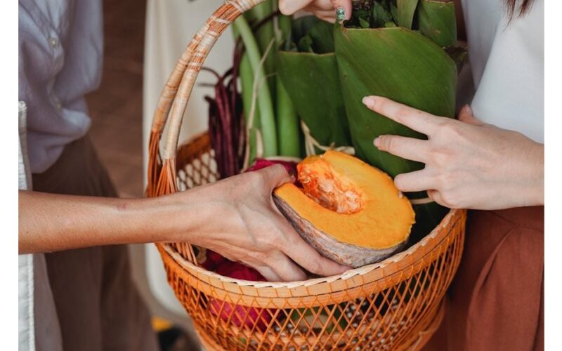 moliūgai ir kukurūzų derlius