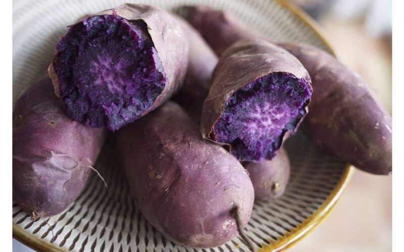 purple potato growing secrets