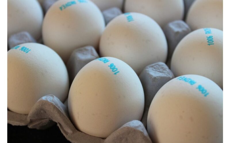 nuimti kiaušinių dėžių etiketes