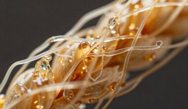 atsisveikinkite su žarnų klijais