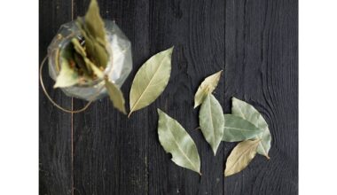 išmėtyti lauro lapai visur ramybė