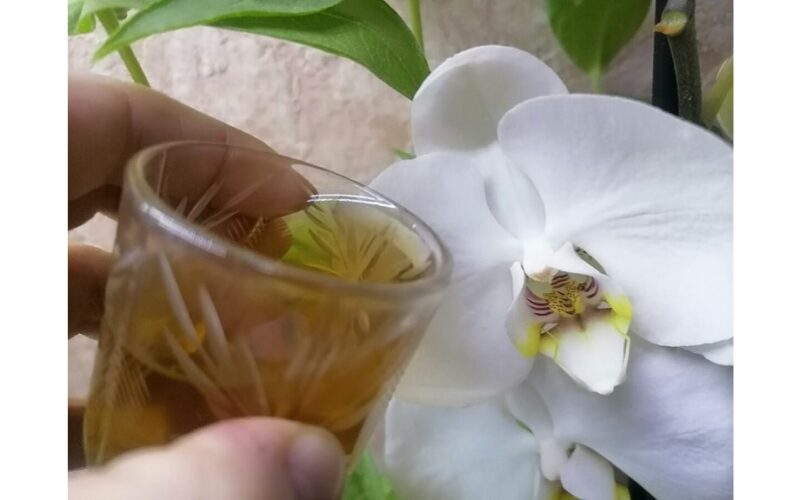 slaptas orchidėjos grožio ritualas