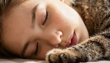 miegojimas su kate rizikos