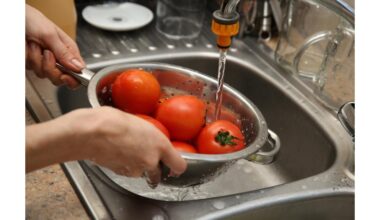 mirkyti pomidorus sūdytame vandenyje