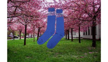 kojinė išgelbsti obelis