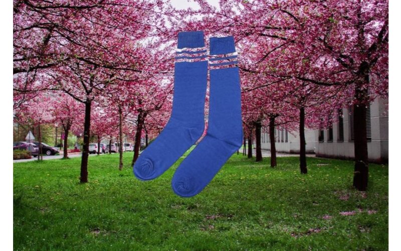 kojinė išgelbsti obelis