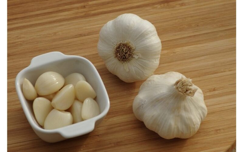 pavasarinis česnakas sodinimo technika