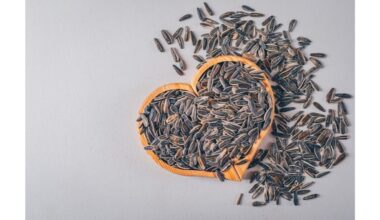 saulėgrąžų sėklų lukštai