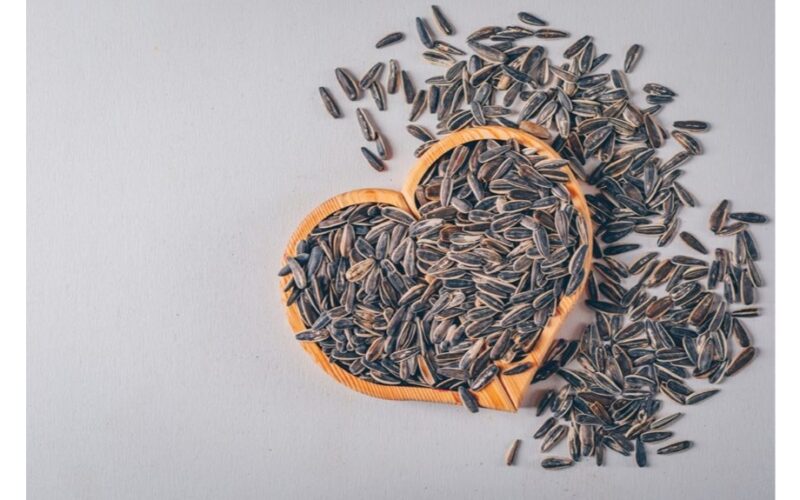 saulėgrąžų sėklų lukštai