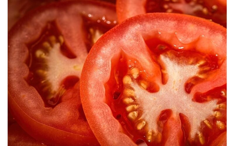 pomidorų daigų laistymo tvarkaraštis