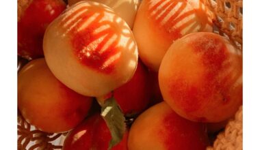 elgtis su juo kaip su gerbiamu svečiu