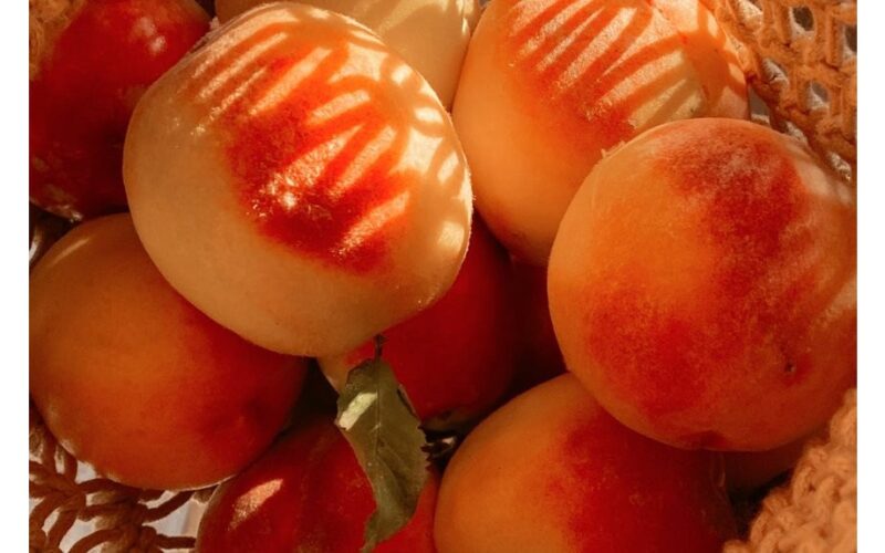 elgtis su juo kaip su gerbiamu svečiu