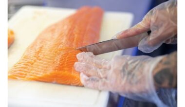 upėtakis prieš lašiša skirtumai