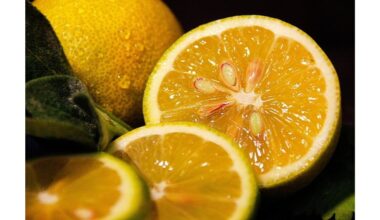 paverskite citrusinių vaisių žieveles auksu