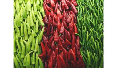 įvairūs pipirai valgomi švieži