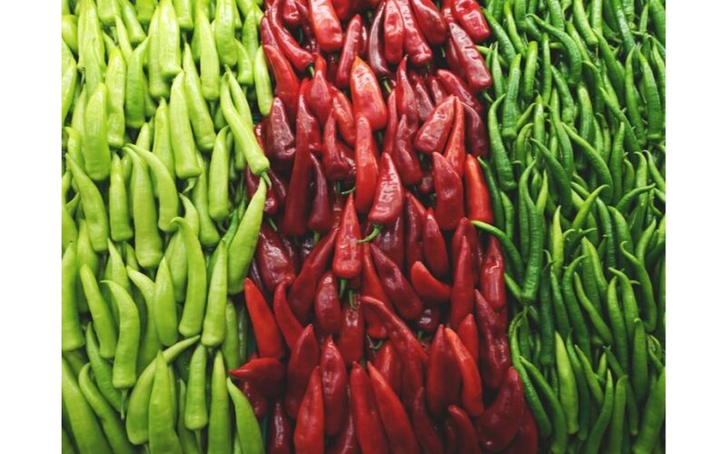 įvairūs pipirai valgomi švieži